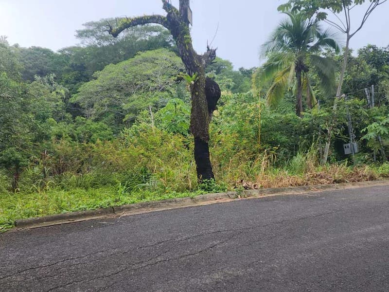 Subdividable lot in Manuel Antonio - photo 3