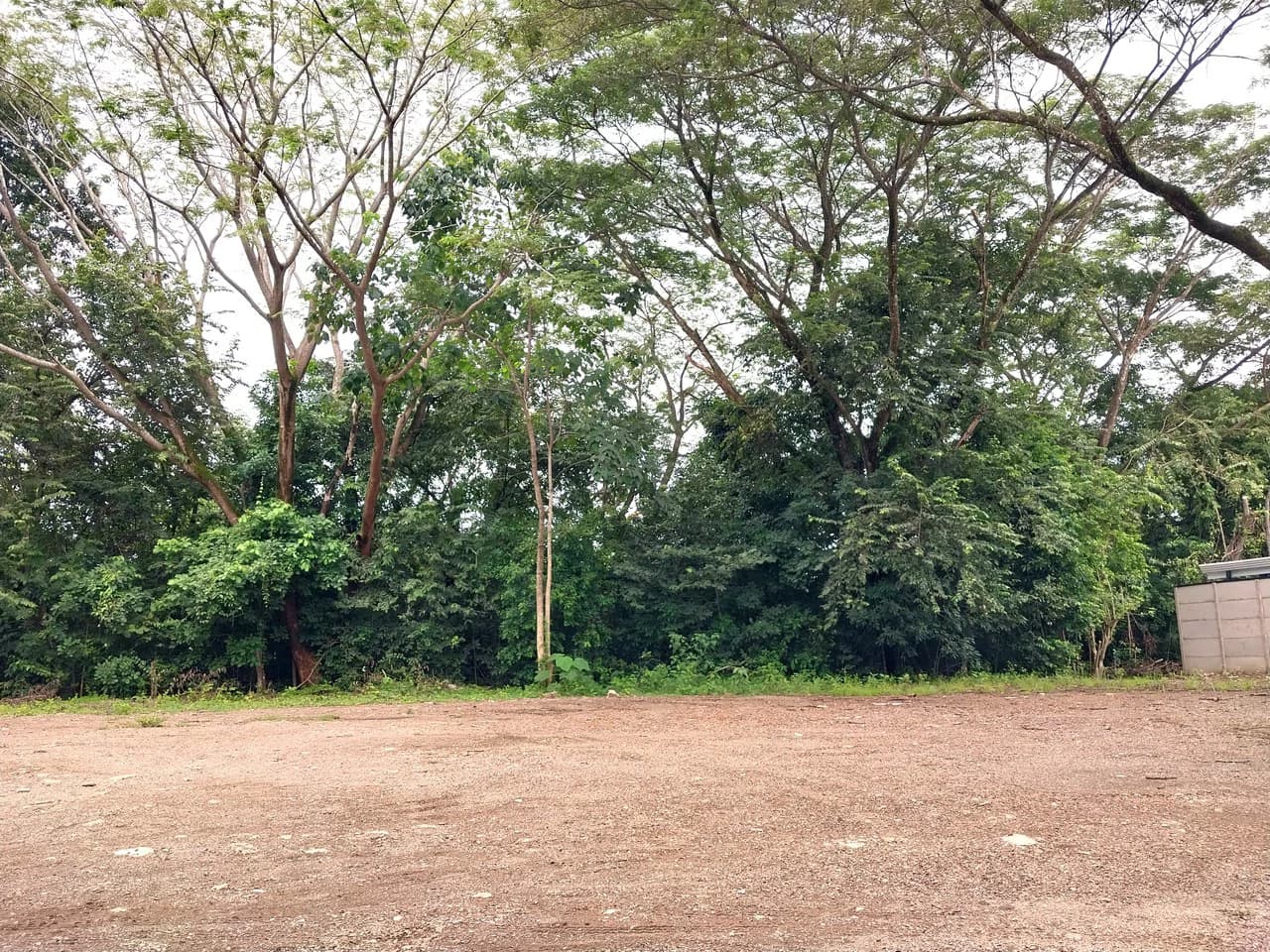 Lot With Water - Fantastic Opportunity in Samara