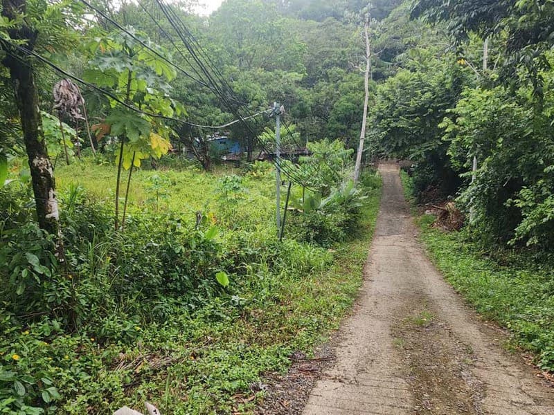 Subdividable lot in Manuel Antonio - photo 6