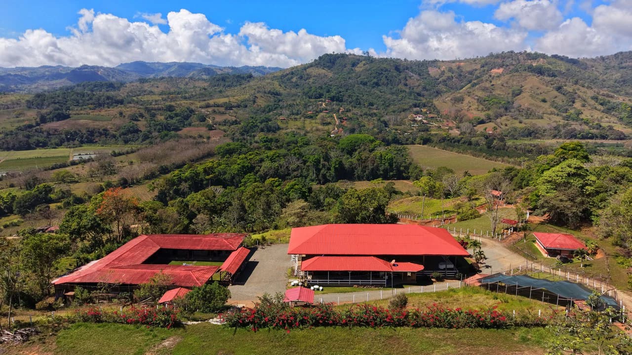 Agricultural Land For Sale in Daniel Flores - photo 24