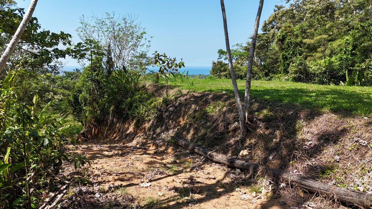 Exceptional Development Opportunity 71 acre Riverfront & Ocean View in Hatillo - photo 22