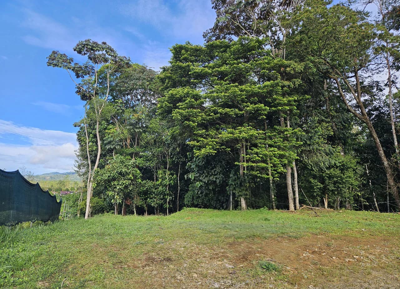 Home Construction Site For Sale in San Isidro del General - photo 2