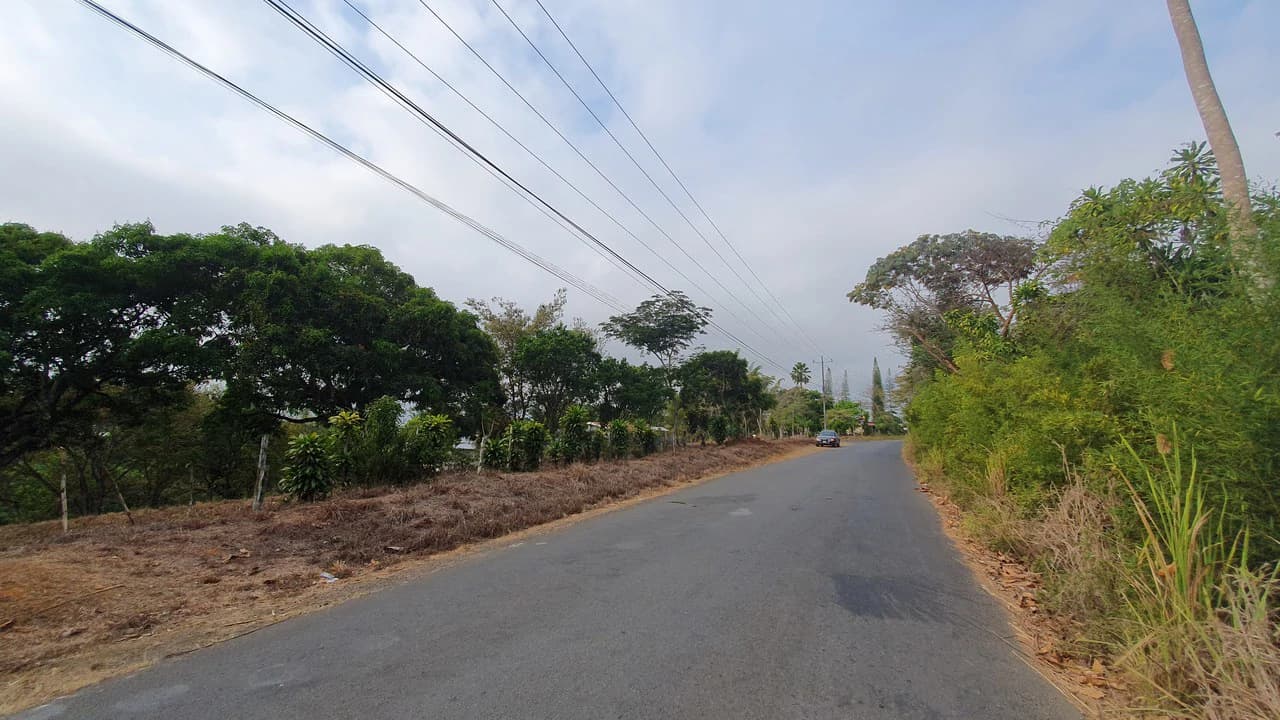 FRUIT TREE PROPERTY FOR SALE: Home Construction Site For Sale in San Isidro del General - photo 6