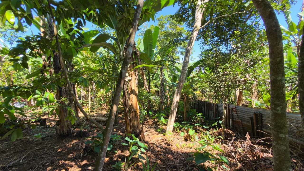 House For Sale in Pavones - photo 13