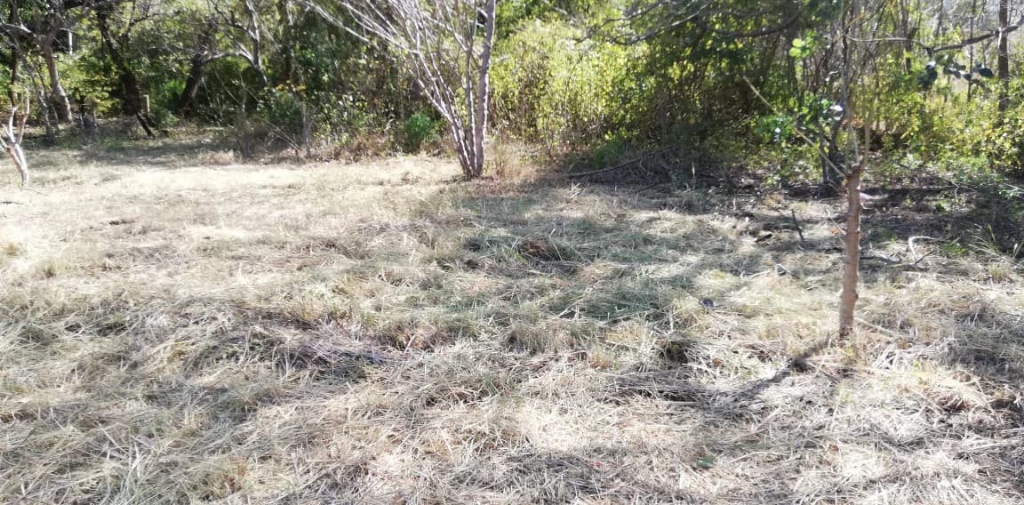 Property in Coco Beach - photo 4