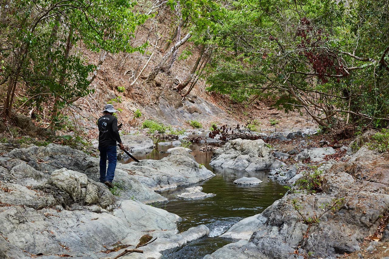 Finca Gomez: 214 Hectares | Ocean Views, Rivers & Development Potential – Guanacaste - photo 13