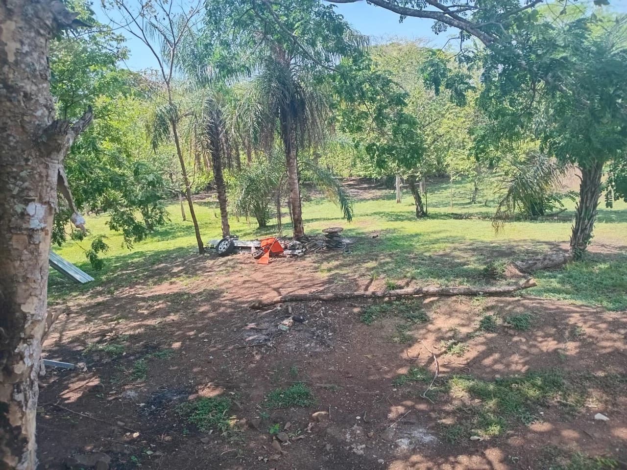 Finca Nature: Beautiful Private Finca near Atenas! - photo 7