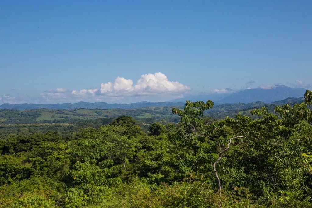 Casa Vista Hermosa: Nature refuge near Manuel Antonio National Park - photo 15