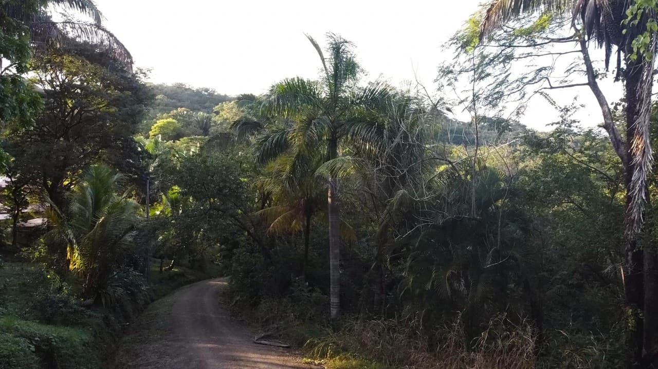 Gated Community Jungle View Lot: Near the Coast Home Construction Site For Sale in Sámara - photo 10