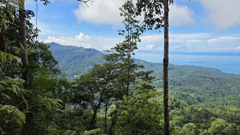 116-Hectare Finca for Sale Near Uvita with Whales Tail Views and 10 Waterfalls | La Faralla, Bahia Ballena, Uvita, Puntarenas, Costa Rica - photo 6