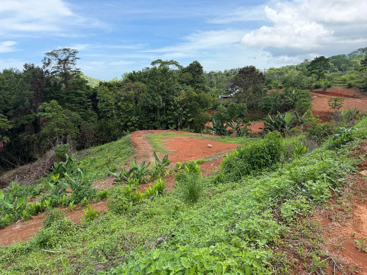 Near the Coast Home Construction Site For Sale in Pavon - photo 5