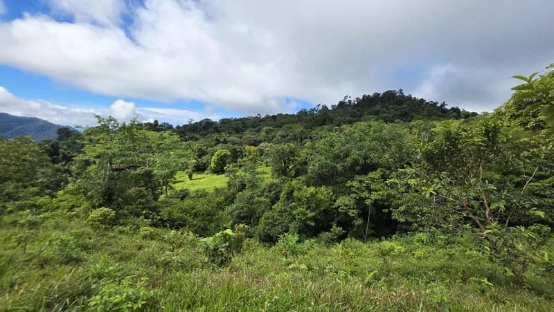 116-Hectare Finca for Sale Near Uvita with Whales Tail Views and 10 Waterfalls | La Faralla, Bahia Ballena, Uvita, Puntarenas, Costa Rica - photo 27