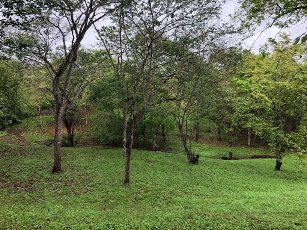 Lot in exclusive Residential, close to Beach Tamarindo - photo 34