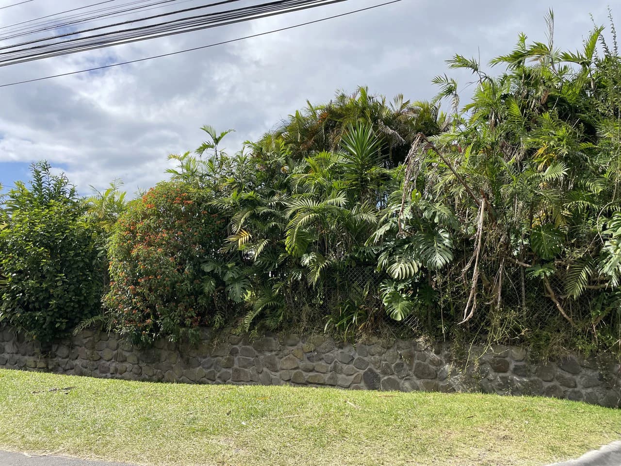 Location Location Location. Coronado, San José, Costa Rica - photo 11