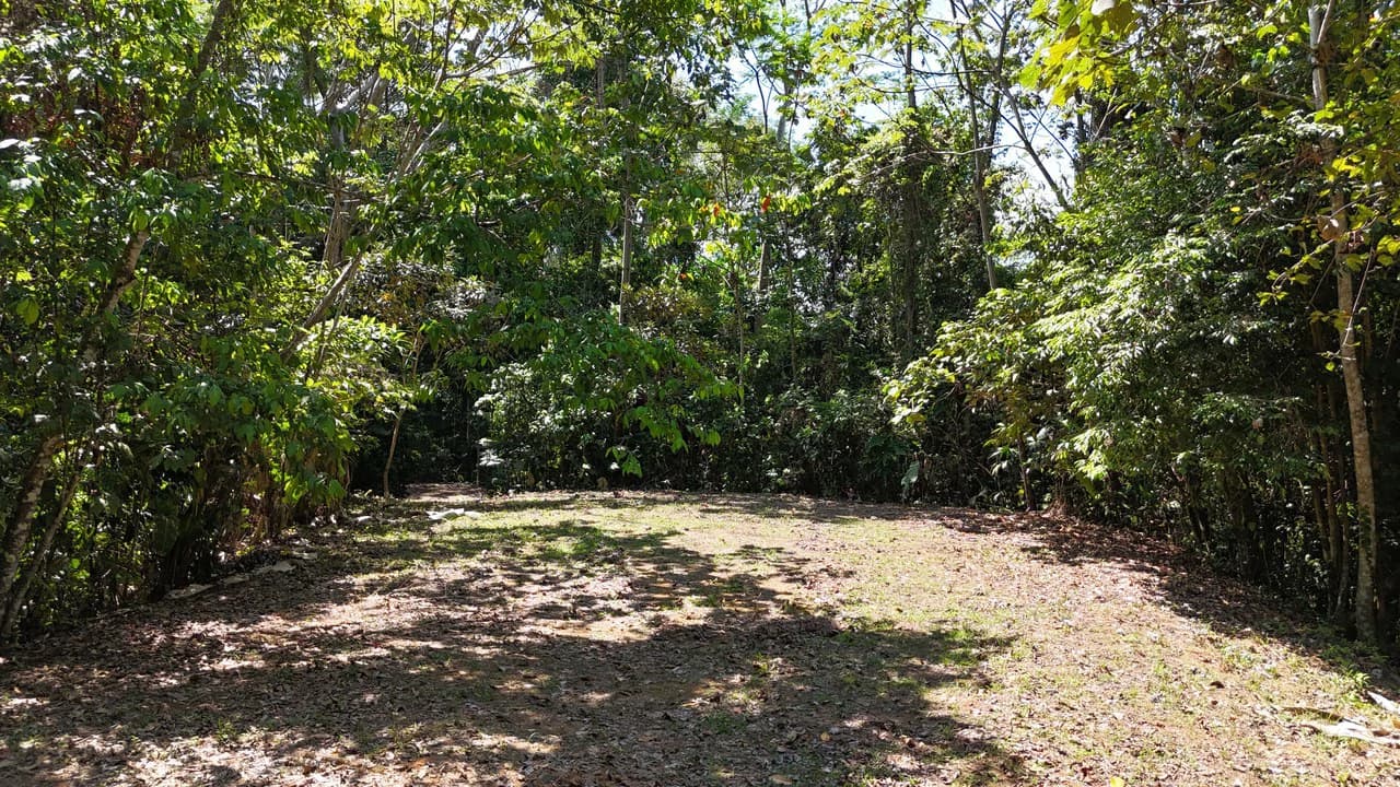 Exceptional Development Opportunity 71 acre Riverfront & Ocean View in Hatillo - photo 25