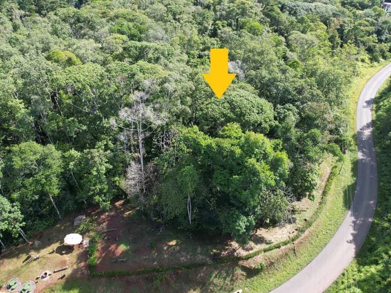 2.47 Acres Property | Mountain Top Ocean View lot in Bahía Chal - photo 2