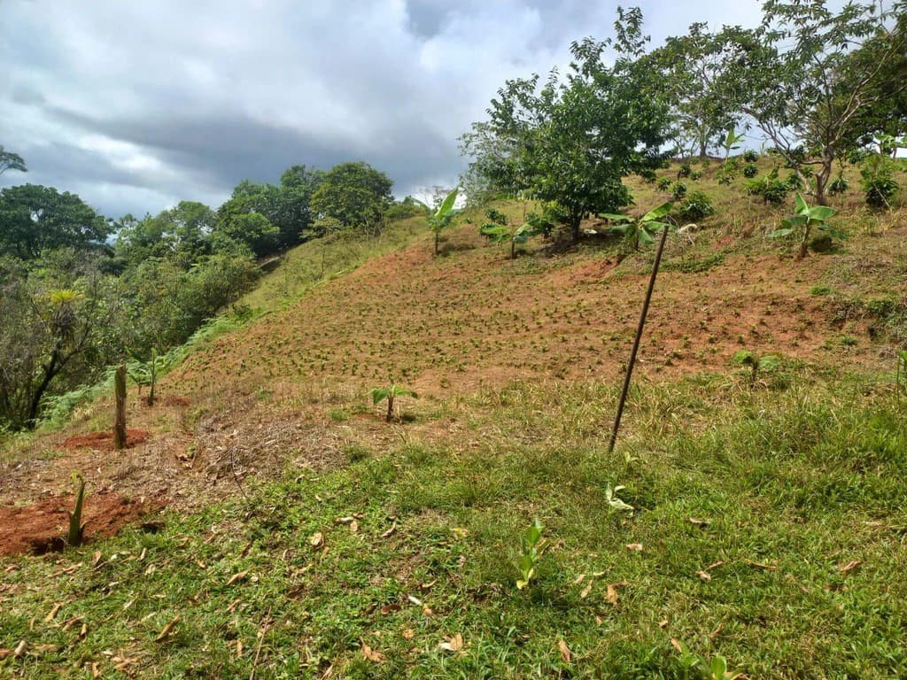 SECLUDED PARADISE WITH STUNNING VIEWS, WATERFALLS & ABUNDANT WILDLIFE - photo 17