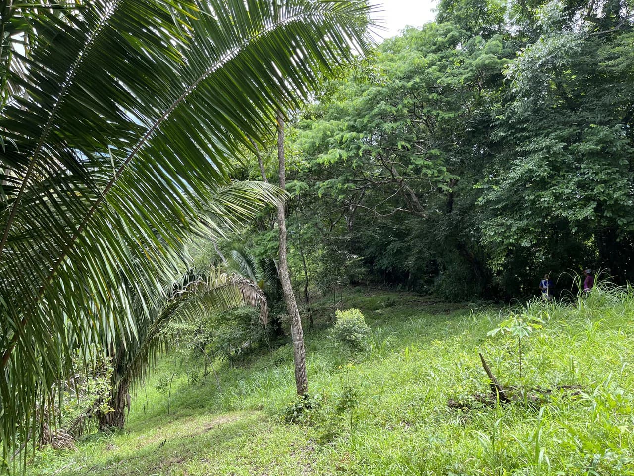 6 Acres Ready for Development in Samara - photo 4