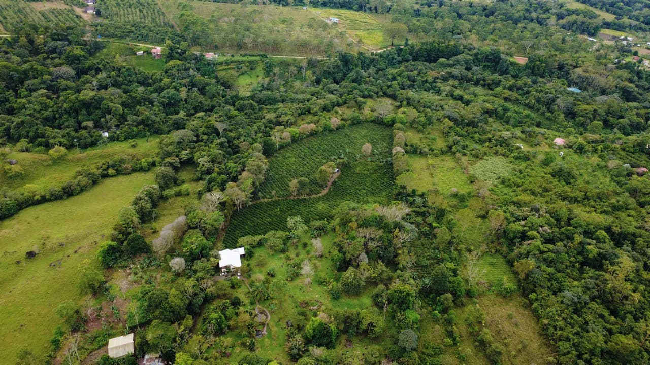 Countryside Home Construction Site For Sale in Santa Elena de San Isidro - photo 6
