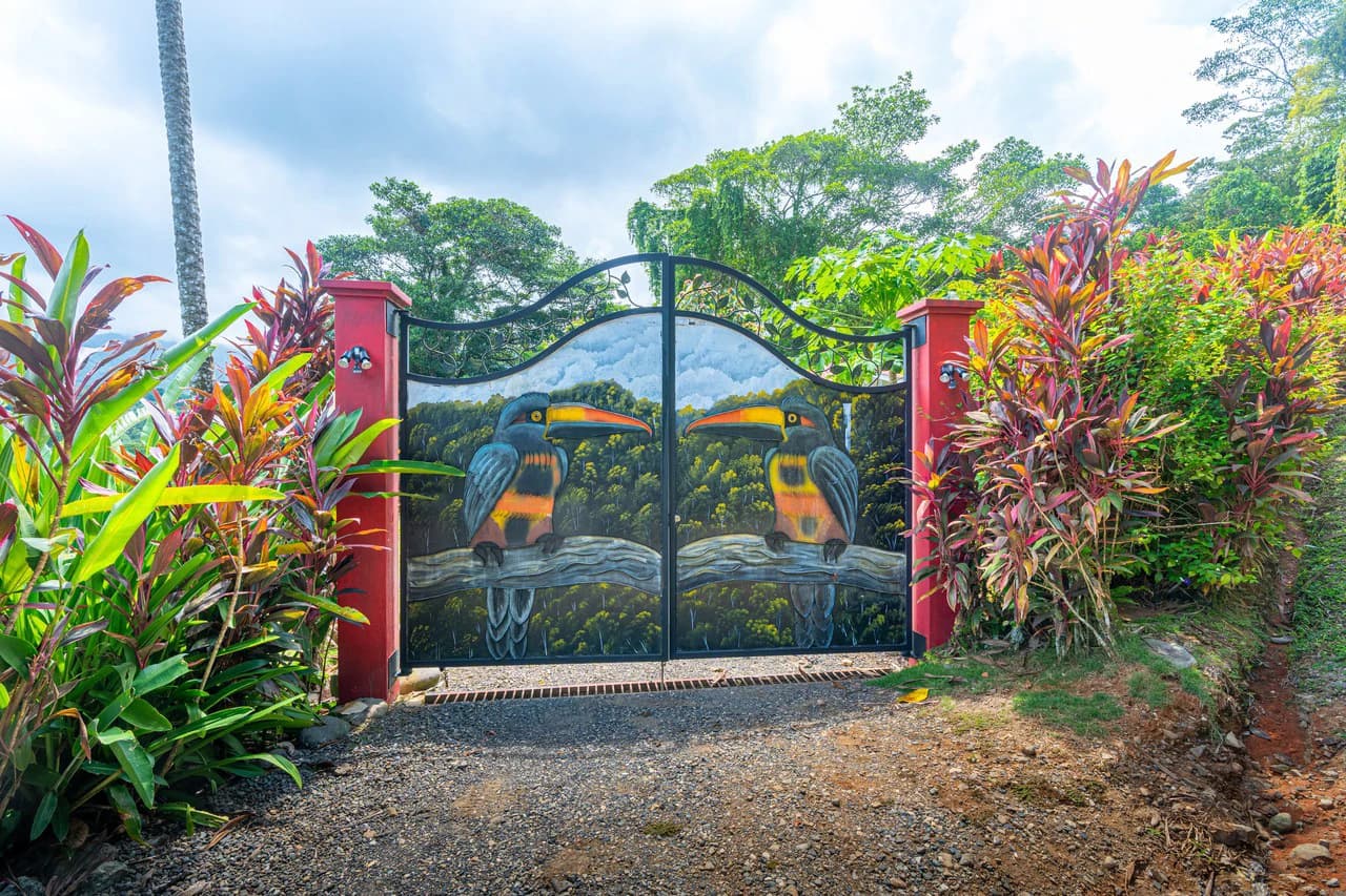 Amazing Mountain View and Ocean View House and Guest House on 4.5 Acres of land in Ojochal - photo 6