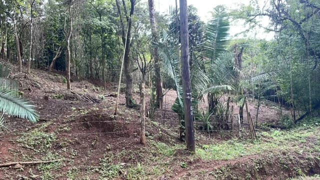 Beautiful Property for Sale in the Mountains of San Juanillo – Prime Land with Building Potential Just 10 Minutes from the Ocean - photo 9