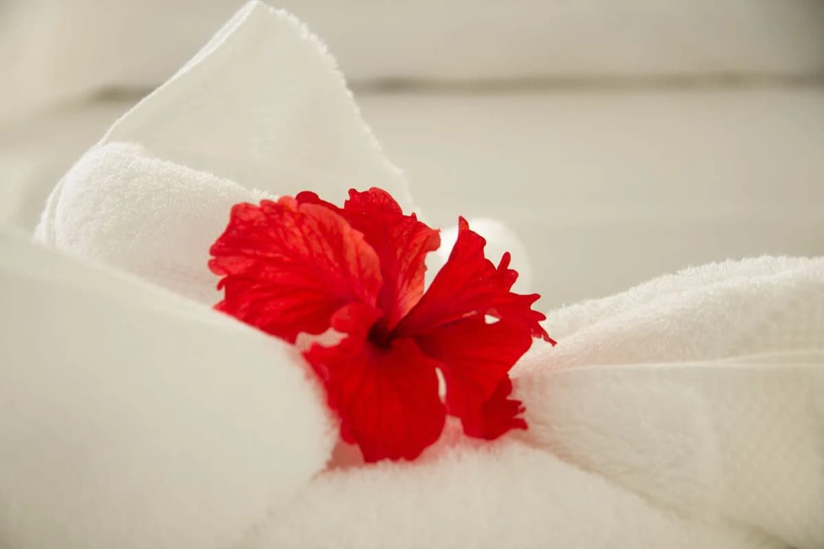 Hotel Horizontes Montezuma: Stunning Boutique Hotel in Montezuma near New Cobano Airport - photo 24