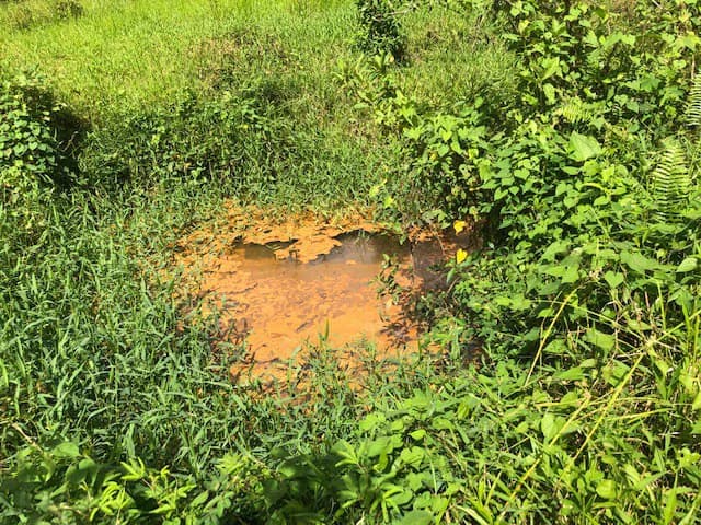 Hot and Cold Thermal Springs for Sale – Beautiful Property in Dos Ríos, Alajuela with Excellent Commercial Potential - photo 41
