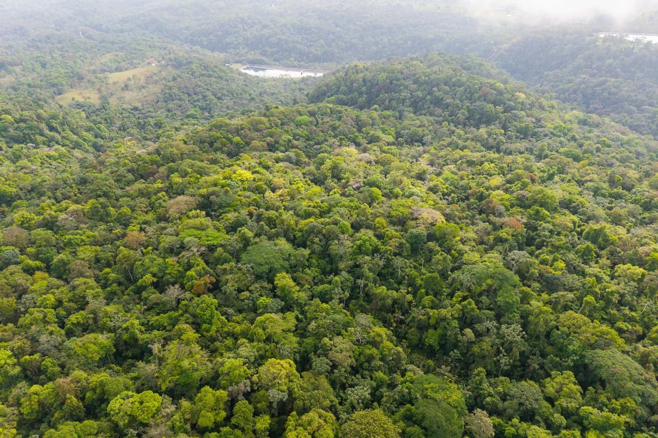 Finca Gran Bijagua: Breathtaking 10-Hectare Mountain Sanctuary in Bijagua, Costa Rica - photo 9