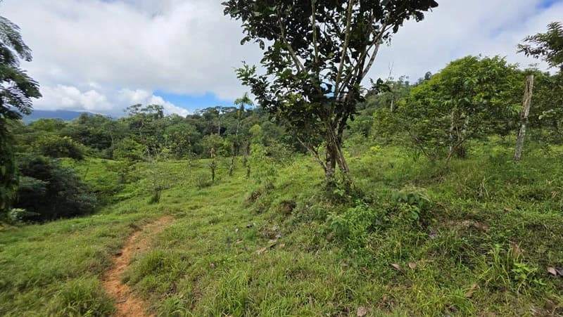 116-Hectare Finca for Sale Near Uvita with Whales Tail Views and 10 Waterfalls | La Faralla, Bahia Ballena, Uvita, Puntarenas, Costa Rica - photo 43