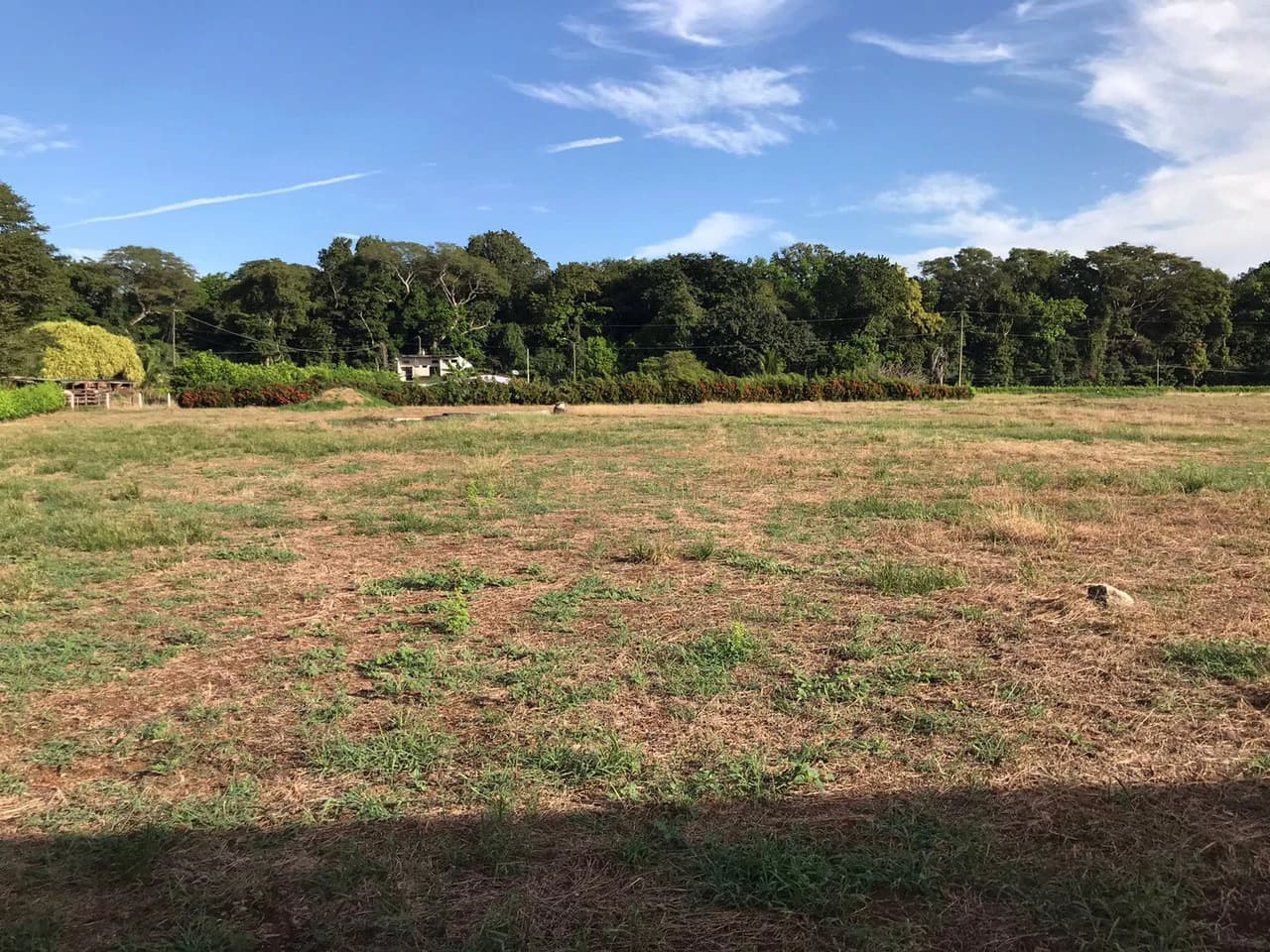 Barrio Limón in Santa Cruz – Excellent future location for a residential project with 130 water connections, investment opportunity - photo 2