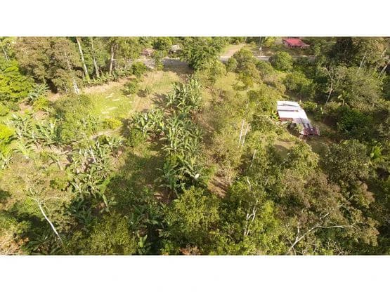 Finca Nanabri: Farm and Ecotourism Land for Sale in Penshurst - photo 4