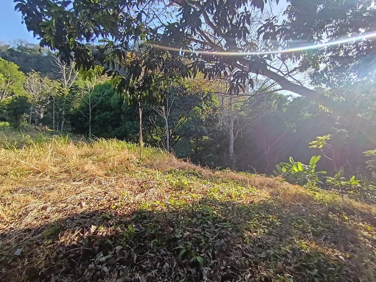 Property for sale in Ciudad Colon San José Costa Rica - photo 5