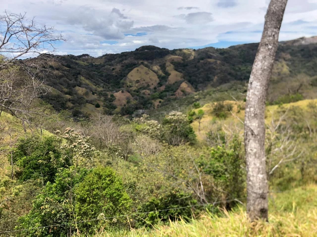 10 acre Dream Mountain Farmland near Monteverde - photo 4