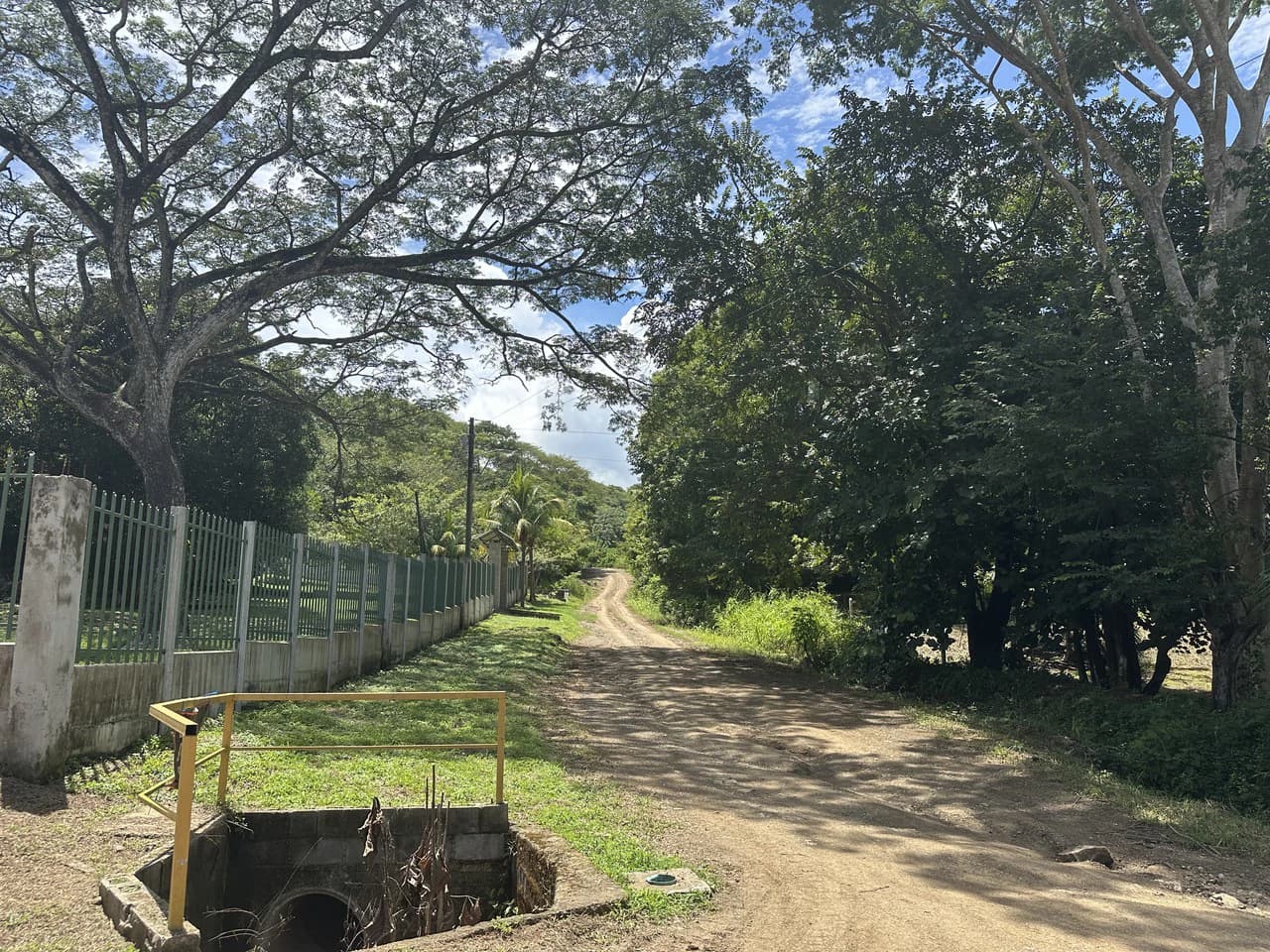 Lote by Naranjo Beach - Blue zone: Ocean View Lot By The Beach: Nicoya Peninsula - photo 11