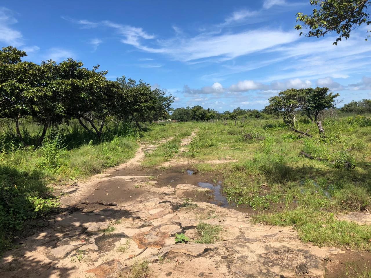 Great investment opportunity, property adjacent to Liberia Airport - photo 12