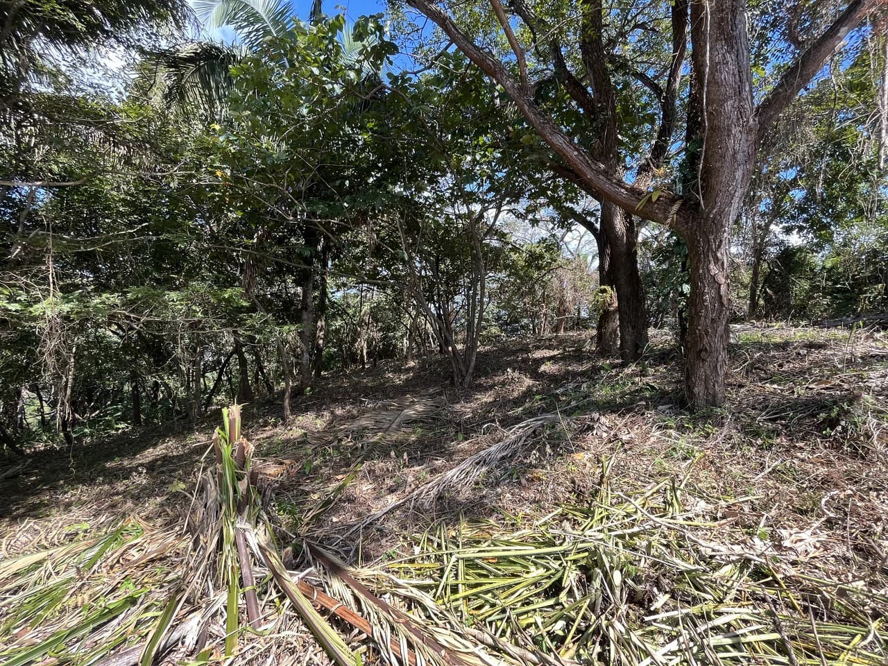 Lot 74 Montana: Beautiful Ocean View - photo 5