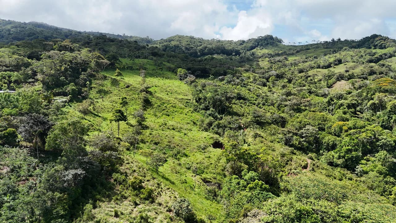 FINCA EN MIRAFLORES: Mountain Agricultural Land For Sale in El General - photo 6