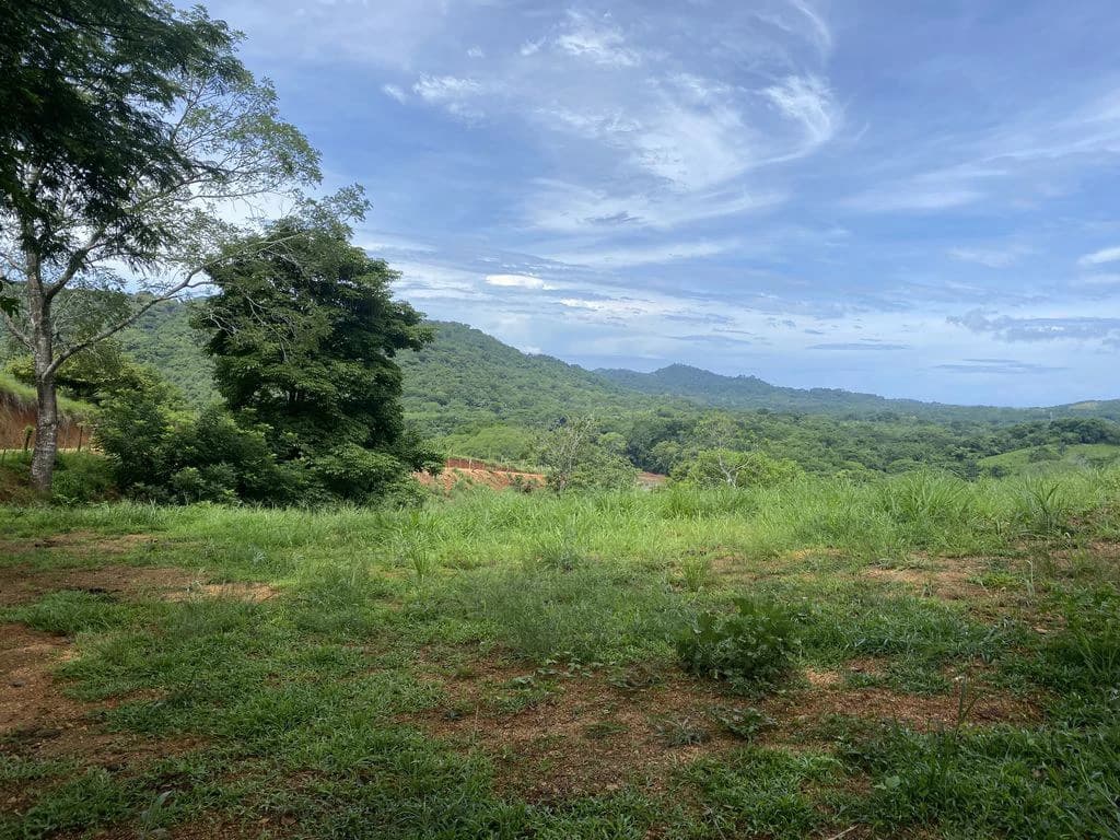 Finca Rio El Carmen: 3 HA Finca with Elevation Across from Renowned Rio Ora, 1 HA parcels available, Three 1700 m2 lots - All available in Rustic El Carmen - photo 7