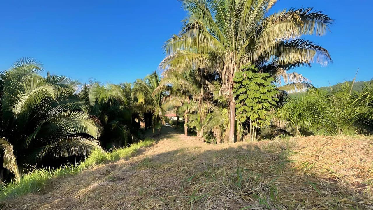 Exclusive Hermosa 1.2 Acre Lot with Panoramic Mountains and Ocean View. - photo 2