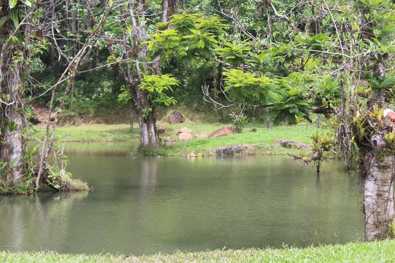 ECO SENDEROS: PRIVATE RAINFOREST RESERVE | 33 HA, LA VIRGEN DE SARAPIQUÍ - photo 2