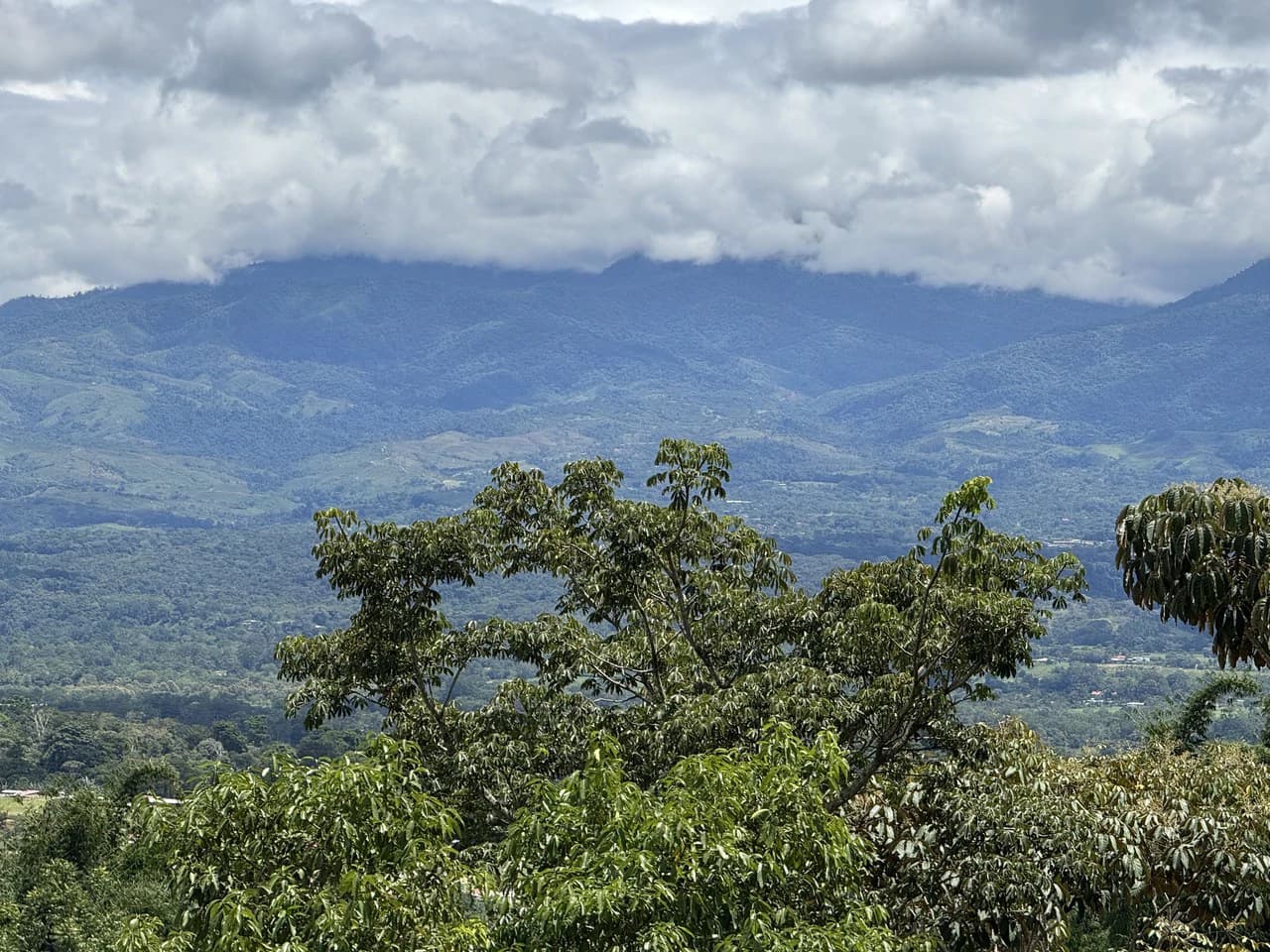 Prime 40,000 Sq. Ft. Building Lot with Mountain & Valley Views in Pérez Zeledón - photo 14