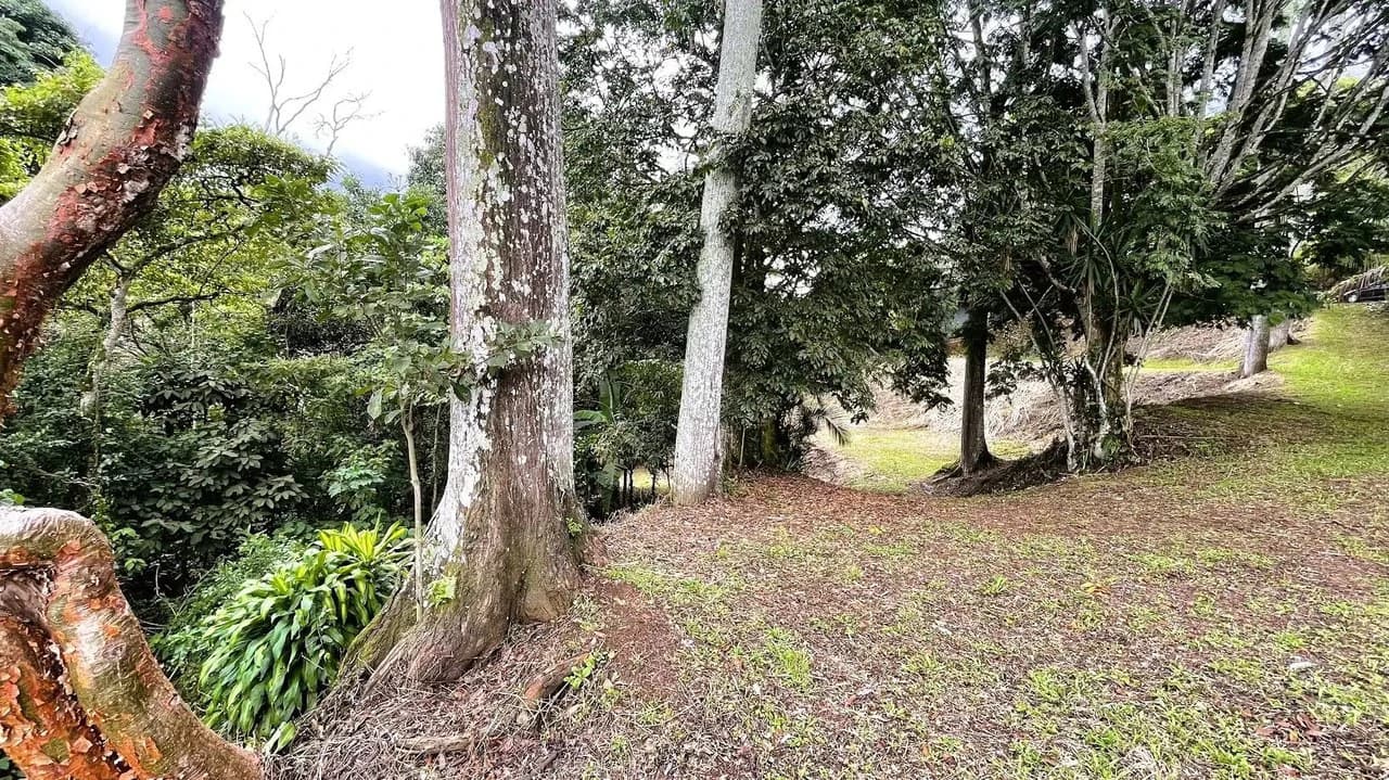 LAND FOR SALE IN SAN MIGUEL, NARANJO - photo 7