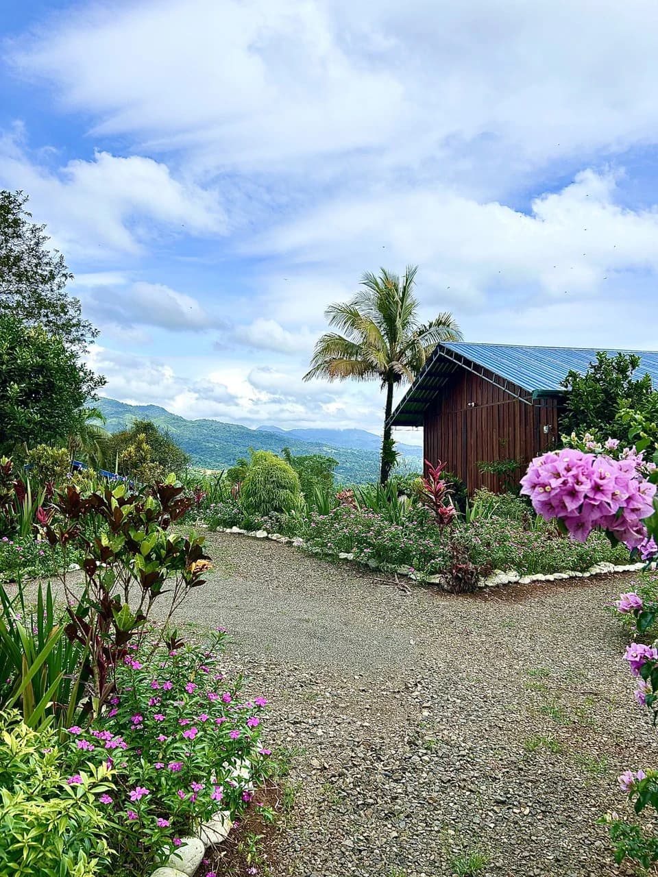 Costa Rica Ecolodge Retreat: TURNKEY COSTA RICA ECOLODGE & WELLNESS RETREAT | 28 ACRES + 5 GUEST CABINS | 45 MINUTES FROM LA FORTUNA