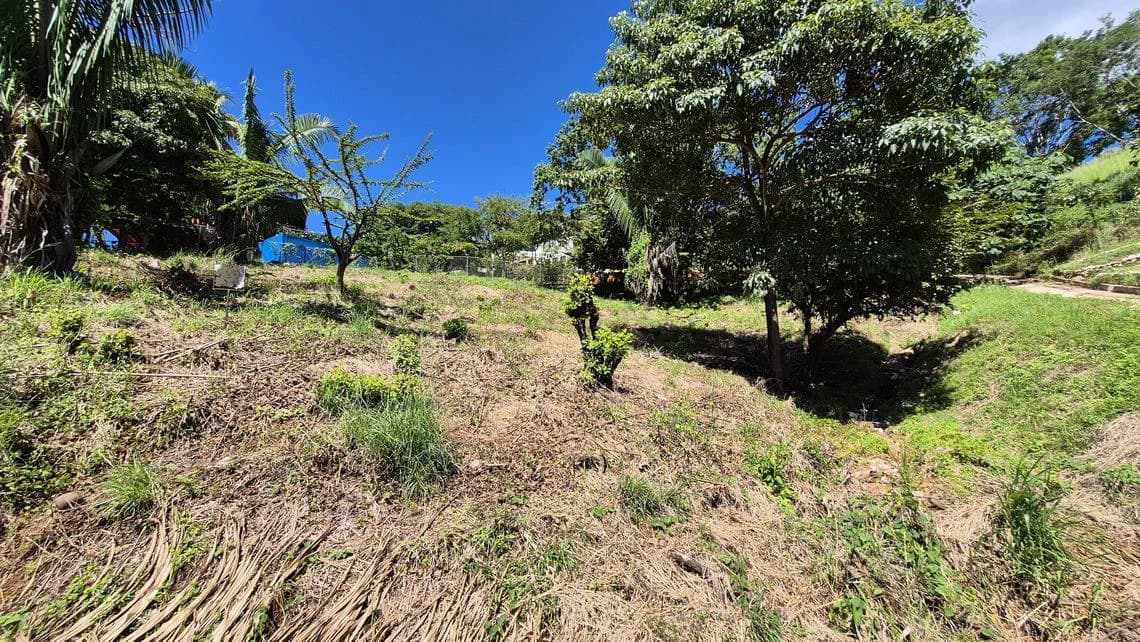 LOTE ALTO: Last Affordable 857 m² Lot in Peaceful Santo Domingo Village, Just 10 Minutes from Samara Beach - photo 6