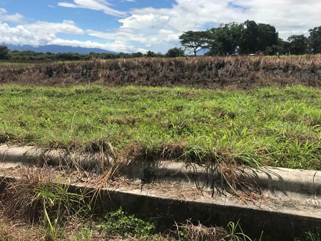 Large Development Land for Sale in Liberia, Guanacaste, Costa Rica - photo 64