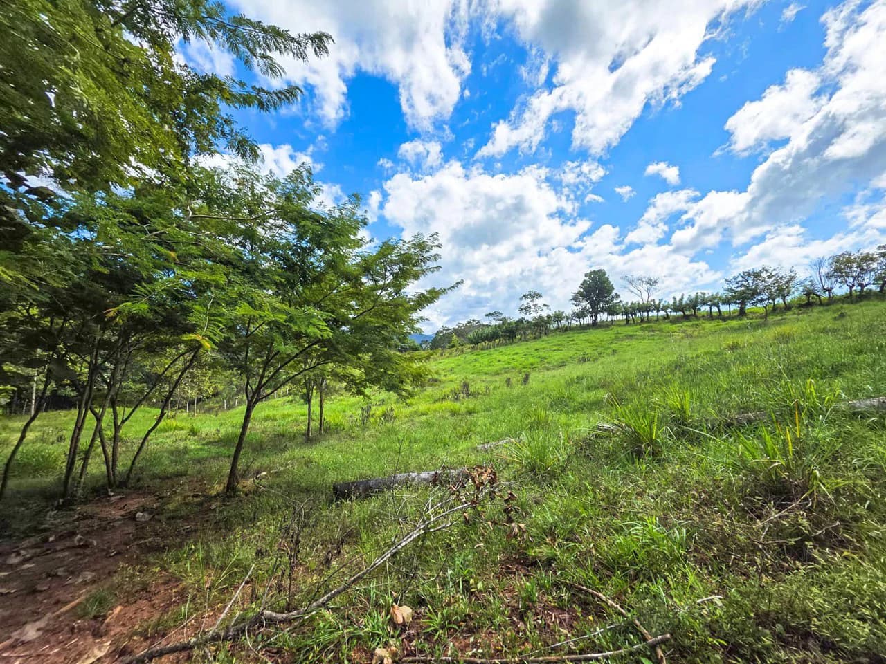 35 Acre Finca - A Natures Lover Or Developers Dream With Stunning Views - photo 10