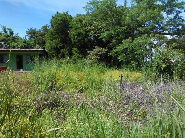 Discovery Park. Property with excellent location - photo 2