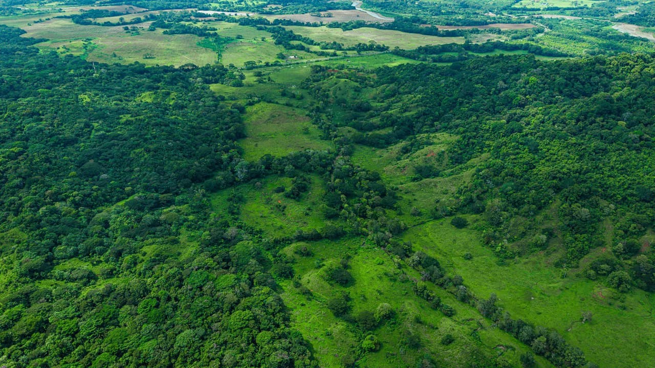 4,850 Acre Beachfront Legacy Ranch Esterillos Central Pacific Coast - photo 24