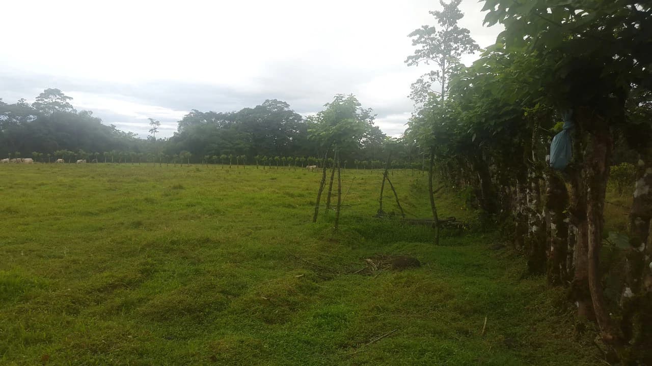 Countryside Development Parcel For Sale in Cariari - photo 12