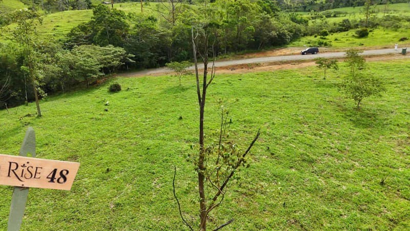 lote 48 RISE: BEAUTIFUL LOT FOR SALE IN THE HEART OF RISE COSTA RICA WITH CREEK (63,475 SQFT) - photo 6